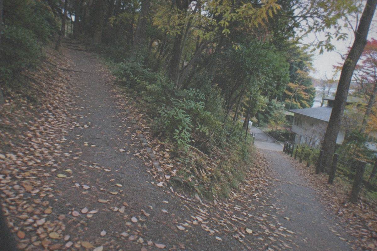 A quiet residential street in Mitaka leading toward the green-covered Ghibli Museum building