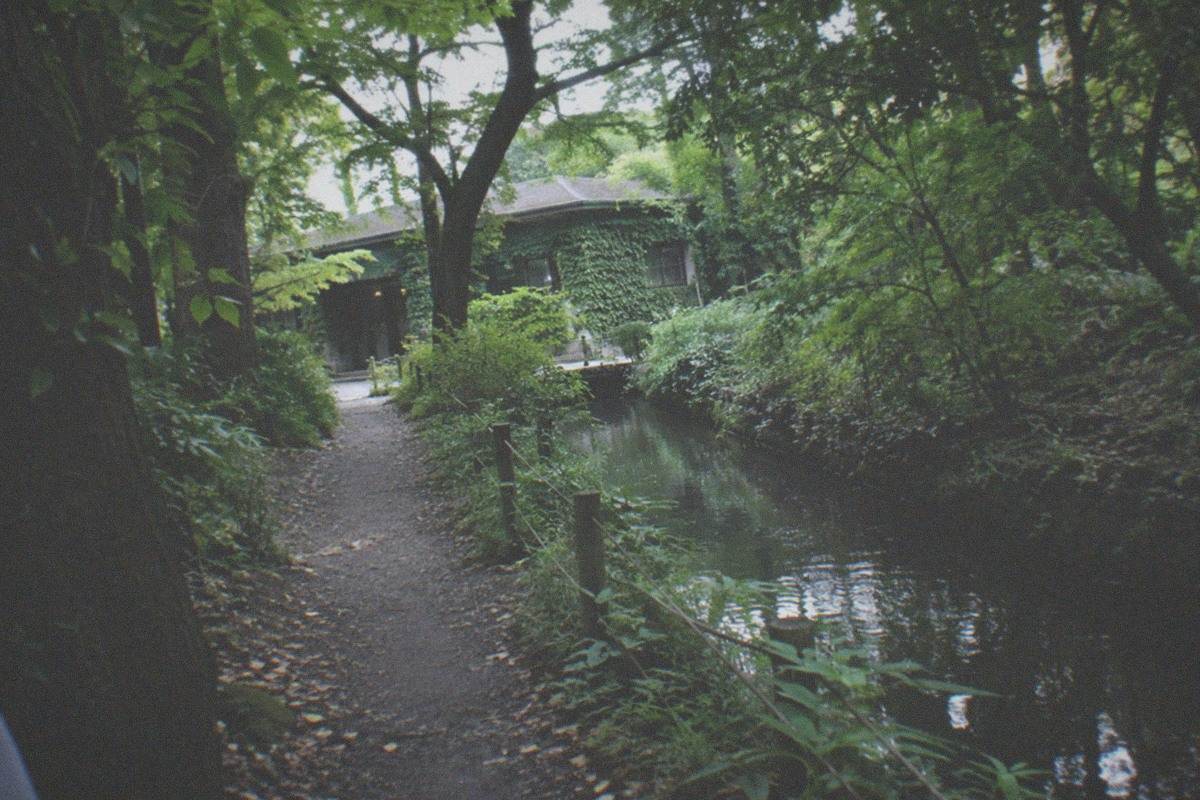 The cream-colored Ghibli Museum building in Mitaka with its curved facade and greenery climbing the walls