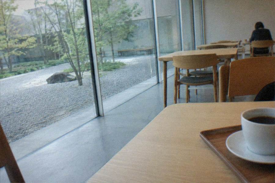 A museum cafeteria with families seated at long tables beside large windows