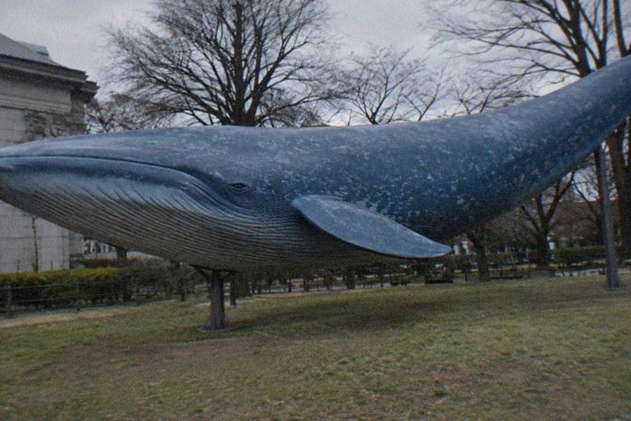 National Museum of Nature and Science