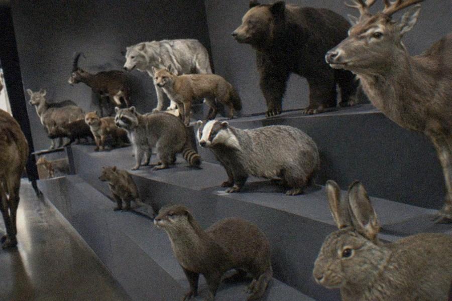National Museum of Nature and Science